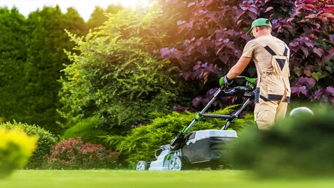 Local Yard Maintenance Near Me With Great Reviews